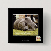 Glückliche Katze, aus glücklichem heraus Button (Vorderseite)