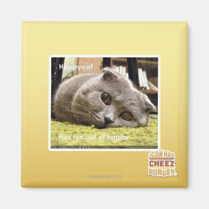 Glückliche Katze, aus glücklichem heraus Magnet