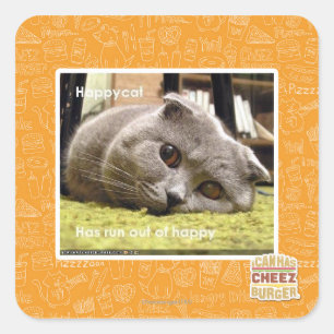 Glückliche Katze, aus glücklichem heraus Quadratischer Aufkleber