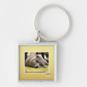 Glückliche Katze, aus glücklichem heraus Schlüsselanhänger (Vorne)