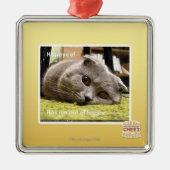 Glückliche Katze, aus glücklichem heraus Silbernes Ornament (Vorne)