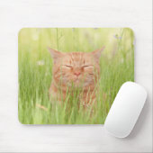 Glückliche Katze Mousepad (Mit Mouse)