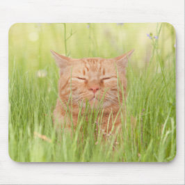 Glückliche Katze Mousepad