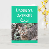 Glückliche Katzen-Grußkarte St. Patricks Tages Karte (Gelbe Blume)