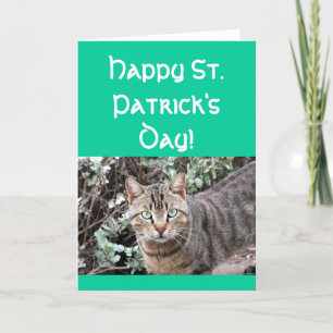 Glückliche Katzen-Grußkarte St. Patricks Tages Karte