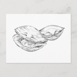 Glückliche-Klaffmuschel-Postkarte Postkarte
