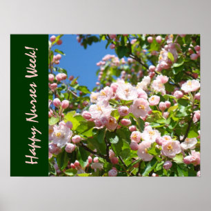 Glückliche Krankenschwester-Woche! Kunstdrucke Poster