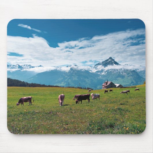 Glückliche Kühe auf dem Bauernhof in der Schweiz Mousepad (Vorne)