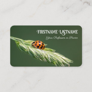 Glückliche Kunden mit glücklichen Ladybugs positiv Visitenkarte