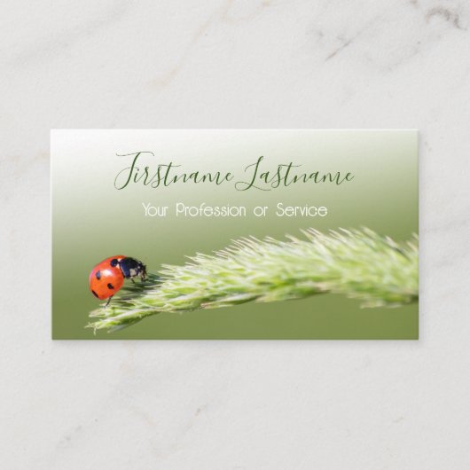 Glückliche Kunden mit glücklichen Ladybugs! Visitenkarte (Vorderseite)