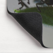 Glückliche Marienkäfer-Liebhabergeschenke Mousepad (Ecke)