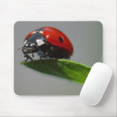 Glückliche Marienkäfer-Liebhabergeschenke Mousepad (Mit Mouse)