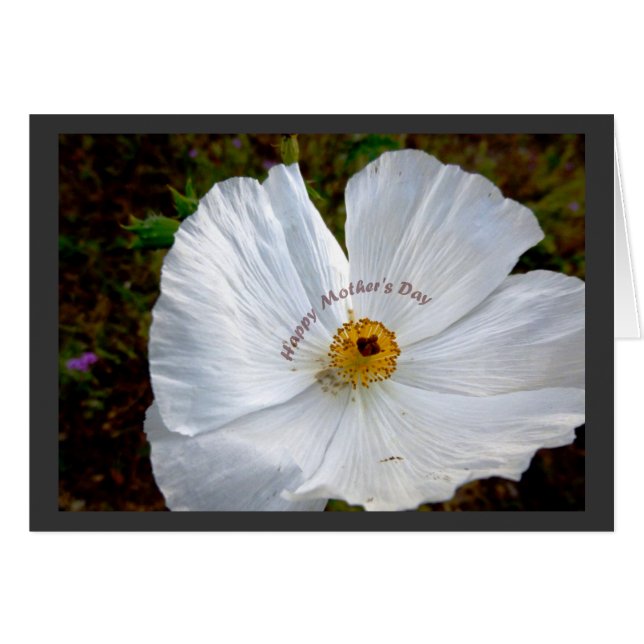 Glückliche Mohnkarte (Vorderseite (Horizontal))