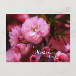 Glückliche Mütter Tag Frühling Rosa Kirschblüten Postkarte