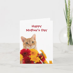 Glückliche Mutter Tag Niedlich Cat Grußkarte Karte