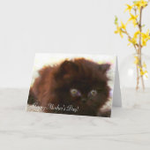 Glückliche Muttertag persische Kätzchen Grußkarte Karte (Gelbe Blume)
