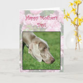 Glückliche Muttertag Weimaraner Grußkarte Karte (Gelbe Blume)