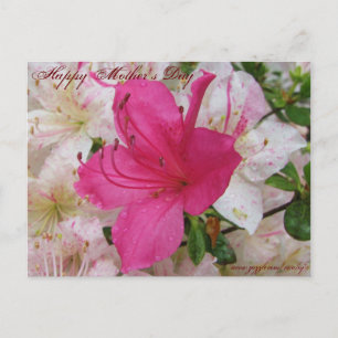 Glückliche Muttertagskarte Postkarte
