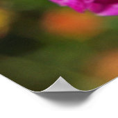 Glückliche Nurses Week! Plakate drucken Nurse RN (Ecke)