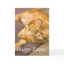 Glückliche Ostern-Ingwer-Katze