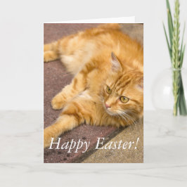 Glückliche Ostern-Ingwer-Katze Feiertagskarte