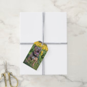 Glückliche Pit Bull Fotografie Geschenkanhänger (Mit Garn)