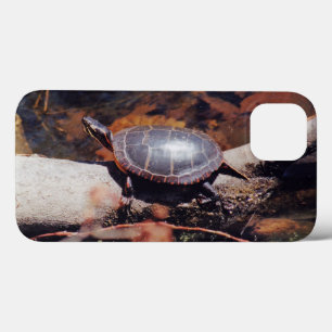 Glückliche Schildkröte iPhone 13 Hülle