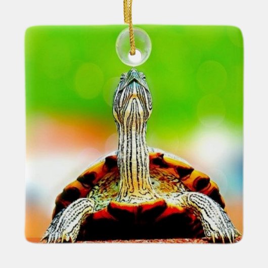 Glückliche Schildkröte mit Blase Keramikornament (Vorderseite)