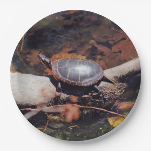 Glückliche Schildkröte Pappteller