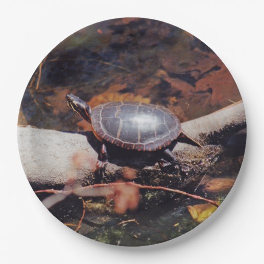Glückliche Schildkröte Pappteller (Vorderseite)