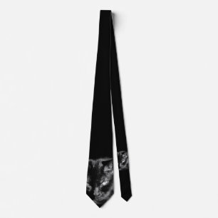 Glückliche schwarze Katze passt Sie auf Krawatte