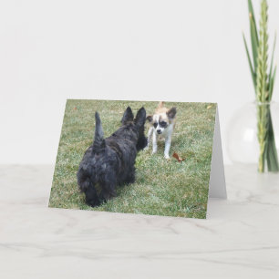 Glückliche Scottish Terrier & Freund Karte