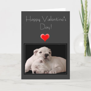 Glückliche Valentinstag-Bulldoggen-Gruß-Karte Feiertagskarte