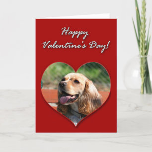Glückliche Valentinstag-Cocker spaniel-Karte Feiertagskarte