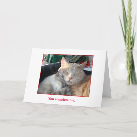 Glückliche Valentinstag-Karte Feiertagskarte (Vorderseite)