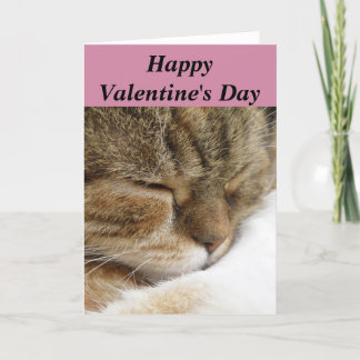 Glückliche Valentinstag-Katzen-Karte Feiertagskarte