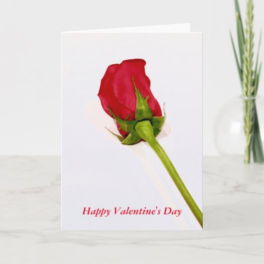 Glückliche Valentinstagkarte Feiertagskarte (Vorderseite)