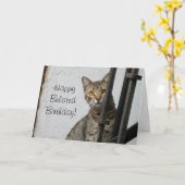 Glückliche verspätete Geburtstag Karte (Gelbe Blume)