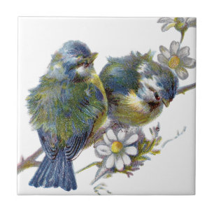 Glückliche Vintage-Vögel Fliese