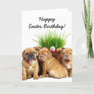 Glückliche Welpenkarte Ostern Birthday Dogue de Feiertagskarte