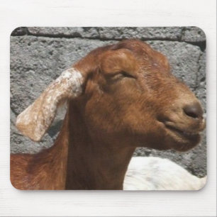 Glückliche Ziege Mousepad