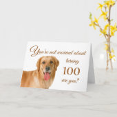Glücklicher 100. Geburtstag, besorgter Labrador Karte (Gelbe Blume)
