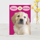 Glücklicher 1. Geburtstag zu einem speziellen Karte (Gelbe Blume)