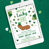 Glücklicher 1 März Erster Geburtstag Einladung