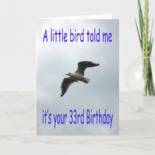 Glücklicher 33. Geburtstag Fliegender Seagull-Voge Karte