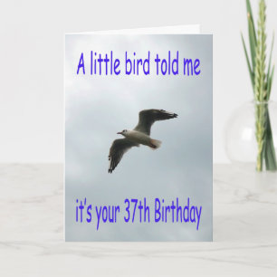 Glücklicher 37. Geburtstag Fliegender Seagull-Voge Karte