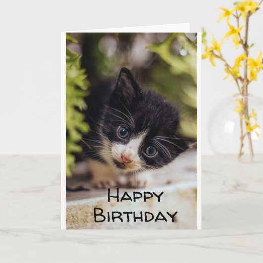 **GLÜCKLICHER 7. GEBURTSTAG VON KITTY** Karte (Gelbe Blume)