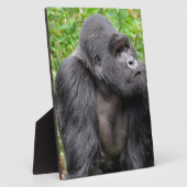 Glücklicher Affe Fotoplatte (Seite)