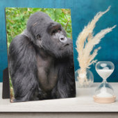 Glücklicher Affe Fotoplatte (Seite)