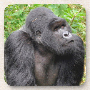 Glücklicher Affe Getränkeuntersetzer